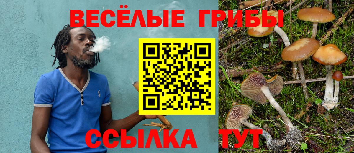 Кубинка  Псилоцибиновые грибы прущие грибы  Псилоцибиновые грибы Psilocybe  Вход с VPN 