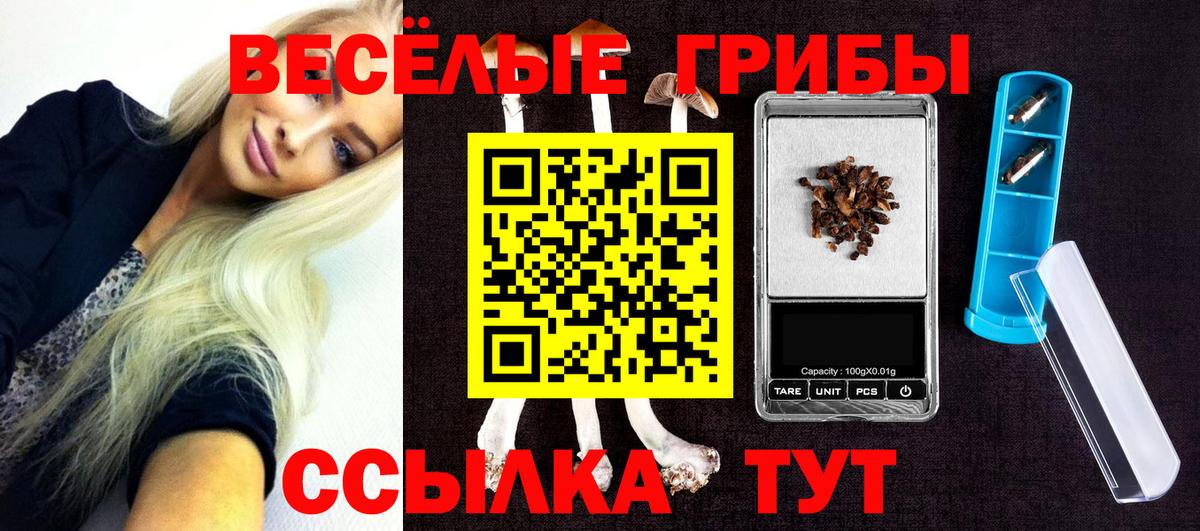 Псилоцибиновые грибы GOLDEN TEACHER Кубинка